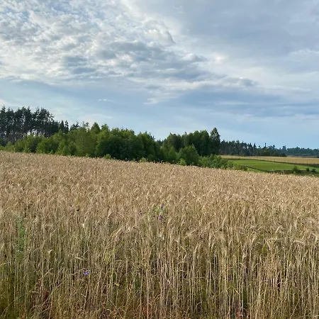 Dom Z Basenem I Widokiem Na 別荘 Radun