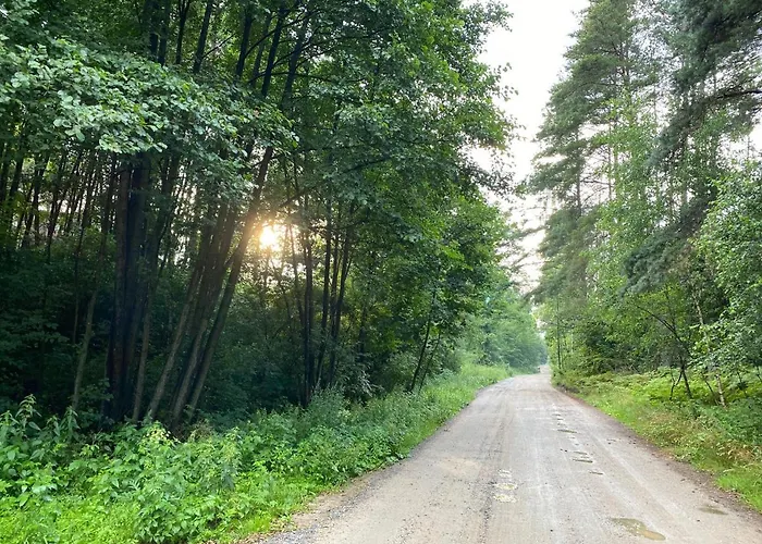 Dom Z Basenem I Widokiem Na łąkę *