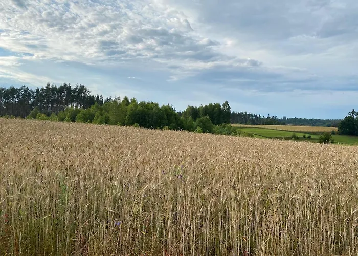 Dom Z Basenem I Widokiem Na Prázdninový dům Radun