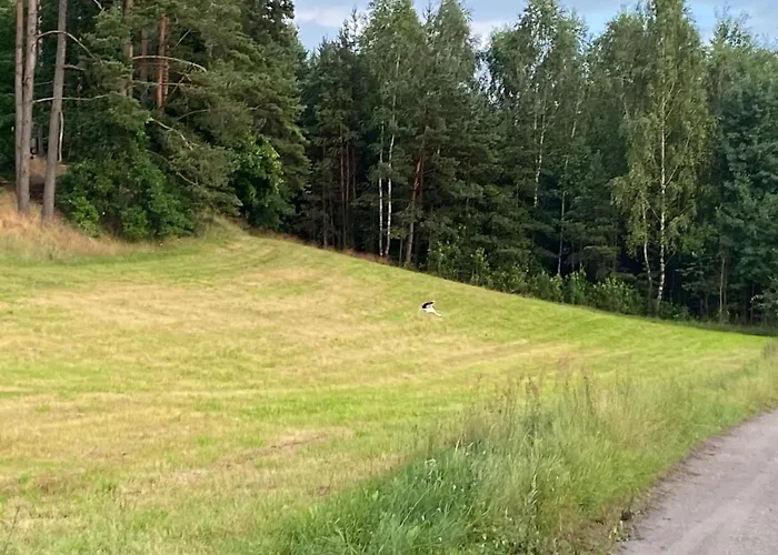 Dom Z Basenem I Widokiem Na łąkę Dom wakacyjny